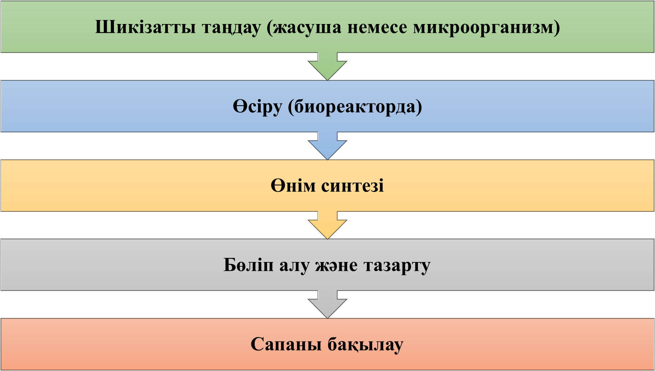 Биотехнологиялық өнімдерді алу кезеңдері
